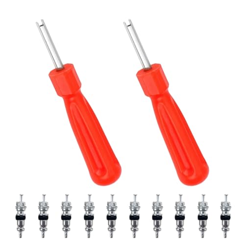 FuzlPnag 10 PCS Ventileinsätzen mit 2 Ventileinsatzentferner, Ventilkernwerkzeug， Ventilkern-Entferner ，für Auto Fahrrad LKW Ersatzreifen