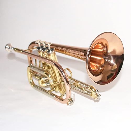 Soundman ECR-501R Kornett in Goldmessing - mit Mundstück und Koffer