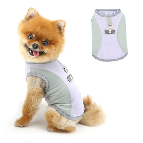 PAIDEFUL Kühlendes Sommer-Hundeshirt für kleine Hunde, atmungsaktives Netz-T-Shirt, UV-Sonnenschutz, Welpenweste, weich, leicht, Hunde-Tanktop, modisch, Chihuahua-T-Shirt, Katzenbekleidung, D-Ring