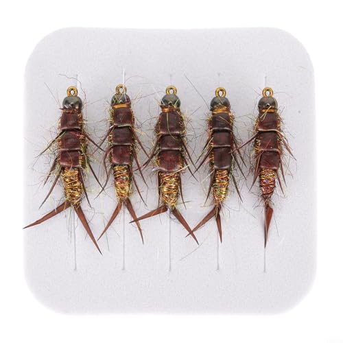 Entgoinggo Fliegenfischen Fliegenköder, realistische Stonfly-Nymphe, Fliegenfischhaken-Set aus Karbonstahl, Köder-Set für Forelle, Barsch, Äsche