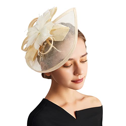DRESHOW Fascinator Hüte für Damen Pillbox Hut mit Schleier Stirnband und Einer Gegabelten Clip Tea Party Kopfbedeckung