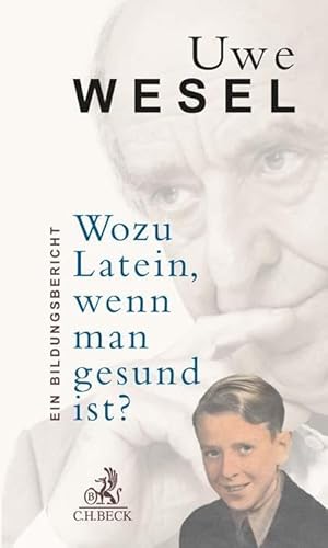 Wozu Latein, wenn man gesund ist?: Ein Bildungsbericht