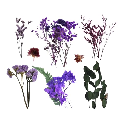 Trockenblumen - Trockenblumenstrauß | Trockenblumen Zum Basteln | Natürliche Getrocknete Blumen, Gepresste Blumen, Echte Getrocknete, Gepresste Blumen Und Blätter Für Scrapbooking-Kerzenharz