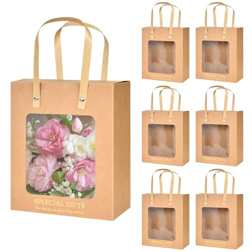 6 Stück Geschenktüte Transparentes Fenster, 16,5x14x8cm Kraftpapier Geschenktaschen, Präsenttüten Verpackungsbeutel mit Griff, Geschenktasche für Geburtstag Hochzeit Party Verpacken Bankett Geschenken