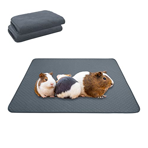 Snagle Paw Wiederverwendbare Haustier-Urinunterlage, 2er Pack 45 x 60cm Hundetrainingspad, Waschbar Welpenunterlage Schnell Absorbierend, Waschbare Wiederverwendbare Pflegeunterlage