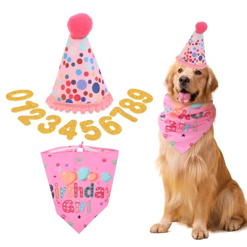 Qianyu Hund Geburtstagsmütze Haustier Geburtstagsparty Zubehör Set Süßer Hund Geburtstag Deko Dreiecks-Schal Bling Nummern Welpen Geburtstags Outfit für kleine Mittelgroße Hunde Katzen Kostüme