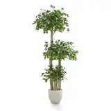 Maia Shop | Ficus | Kunstpflanzen | Künstlicher Baum | 3 Baumkronen | Maße: 175 x 80 cm | Künstliche Pflanzen | Fake Plant | Plastik Pflanze | Deko | Deko Wohnzimmer