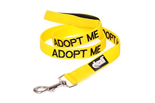 Dexil adoptieren mich gelbe Warn Hund farbcodierte Edles personalisierte 60cm 1.2m 1.8m Leine zu Ihrem lokalen Wohltätigkeits Hund spenden. Preisgekrönte (180cm)