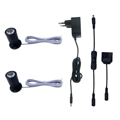 LED Spotlichter für den Innenbereich Schranklicht Bilderlichter Akzentlichter 1W 360° Schwenkbar Aluminium Mini led spot für Schrank, Flur, Galerien, Geschäfte, Schmuckschrank(Warmweiß-2 Stück)