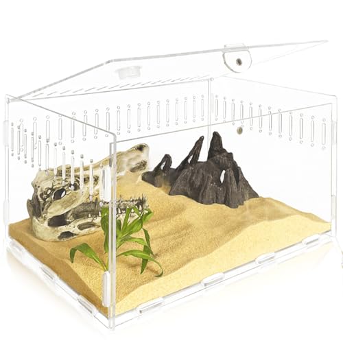Acryl Terrarium, 30*20*15CM Reptilien Terrarium Tank, Transparente Reptilien Futterbox, Insekten Futterbox, Kriechender Haustier Reptilien Aufzuchtbox für gehörnte Frösche, Echse, Schlangen
