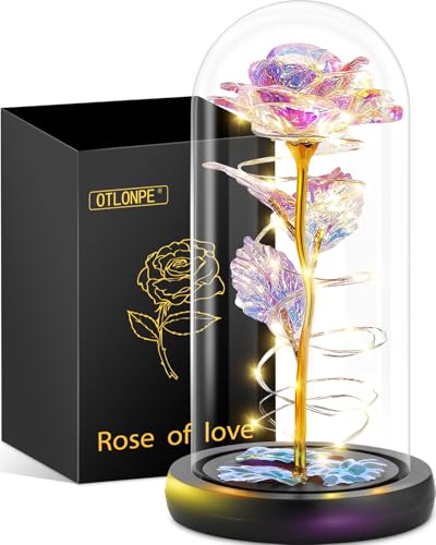 Otlonpe Blumen Muttertagsgeschenk für Mama Geschenke für Frauen, Geburtstagsgeschenk für Frauen Mama Freundin Oma, Ewige Rose im Glas Frau Geschenke für Muttertag Valentinstag Jahrestag