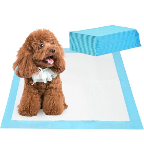 Barpor PIPI Matten für Hunde - Welpen Unterlagen 60x60cm Trainingspads für Hunde 20 Stück, Inkontinenzunterlage Einweg Wickelunterlage 5-Lagiges Design mit Schnell Trocknender Oberfläche