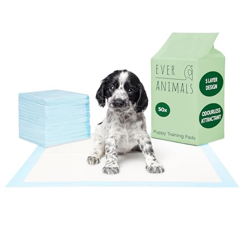 EVERANIMALS 50 Welpenunterlagen 60x60 cm - mit geruchsfreien Lockstoffen für spielend leichte Welpenerziehung, extra saugstarke Welpen Unterlage, auslaufsicher, 5-lagig