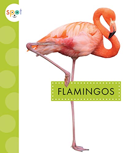 Flamingos (Spot Big Birds)