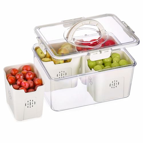 Hejo Frischhaltedosen mit Deckel Sieb, Größer Kühlschrank Organizer mit Deckel, Gemüse Obst-Aufbewahrungsbox mit Griff, Mehrweg Picknick Box, Snackbox mit Fächern für Küchen Wohnzimmer Camping