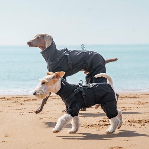 PAWBOSE Regenmantel Hund mit Geschirr Wasserdicht für Mittlere und Große Hunde, Reflektierender Regenfester Hunderegenjacke, 4 Beine, Grau, L