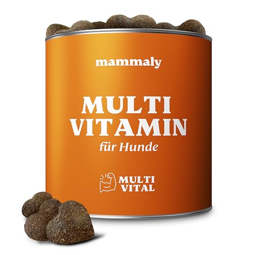 mammaly - 15 in 1 Multivitamin Komplex für Hunde - Multi Vital 325g 110 Leckerli - Omega 3, Vitamin B, C, A, D3, E Snacks - Leckerlies für Hund - Unterstützt Immunsystem, Vitalität, Gehirnfunktion