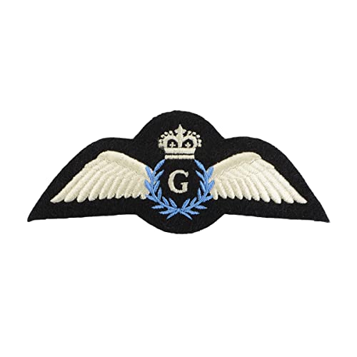 Modernes britisches Reserve-Pilotenflugzeug-Flügel-Ab