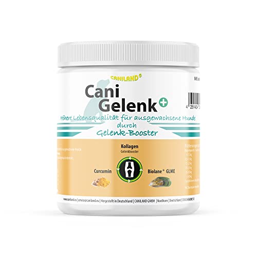 Gelenkpulver Hund Cani Gelenk 200g Dose | geprüfte deutsche Premium-Qualität | Mit Grünlippmuschel, Kollagen und Curcumin I entzündungshemmend | bei Knochen- und Gelenkproblemen |