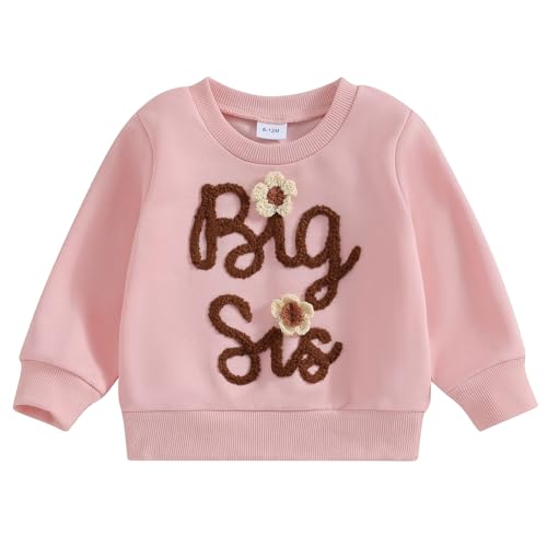 Yassiglia Baby Mädchen Schwester Matching Outfit Kinder Sweatshirt Neugeborene Langarm Strampler Big Sister Little Sister Outfits Herbst Kleidung (Rosa A, 2-3 Years)