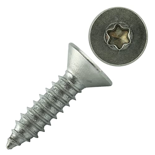 100 Stück 4X10 mm Edelstahl A2 - Spanplattenschrauben Torx - Vollgewinde - Holzbauschrauben mit Senkkopf - Edelstahlschrauben