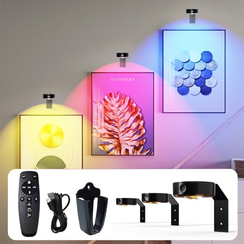 Starxing Kabellose Bildleuchte 3Pack, 2000mAh Wiederaufladbare Bilderleuchten, 16 RGB LED Licht Dimmbar, Dart Lampe Fernbedienung für Wanddekoration (Schwarz)