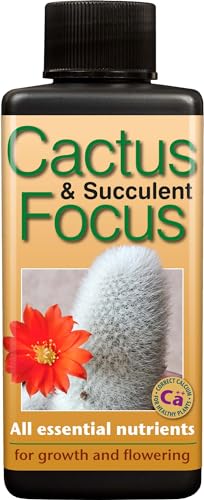 Kaktus und des frischen Focus 100 ml