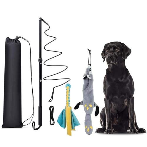 KOXXUD Reizangel Hunde, Profi Reizangel für Kleine, Mittelgroßer, Große Hunde, Martin Rütter für Ultimativen Spielspaß & Körperliche Auslastung （Seilstreifen + Biber）