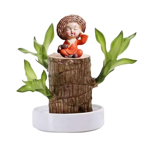 Generisch Brasilianisches Glücksholz, Brasilianisches Holz Grünpflanze, Dekoration, Hydroponischer Topfpflanzenstumpf, Brasilianische Pflanze, Mini Lächelnder Buddha, Desktop Ornament