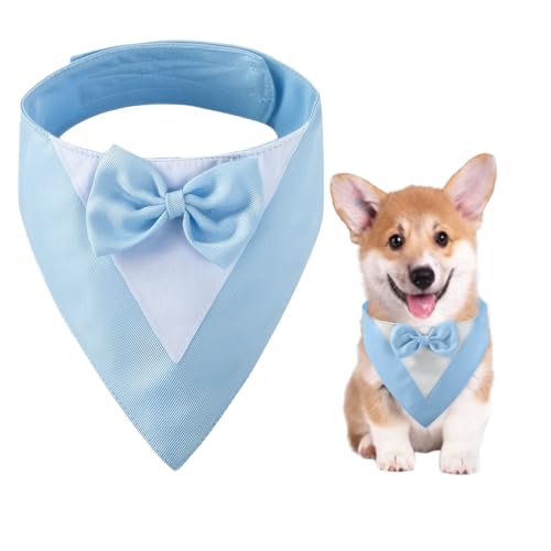 Hundesmoking, Hundehochzeit Bandana Kragen mit Fliege Kleine Hunde Hundesmoking Hundekostüme für kleine Hunde Hundeanzug Kostüm für Hunde Verlobung, Hochzeit, und Geburtstag (Hals:20-30cm/Blau)
