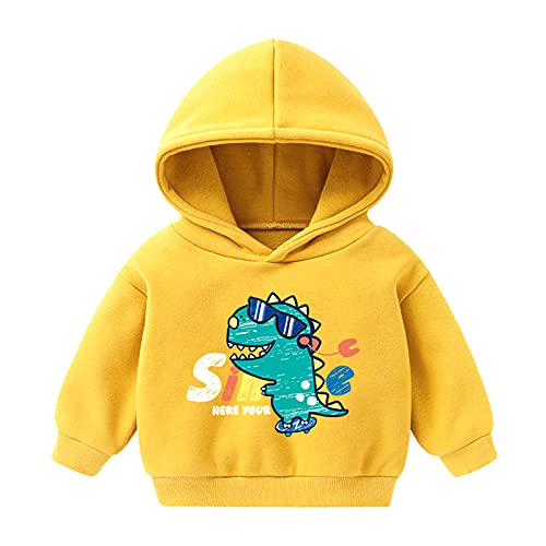 Hoodie Dinosaurier Baby Kleinkind Pullover Cartoon Sweatshirt Mädchen Jungen Säuglingsoberteile Mädchenoberteile Pferde Pulli (Yellow, 2-3 Years)