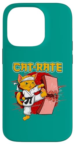 Lustige Katzenliebhaber Schwarzgurt Katze Hülle für iPhone 14 Pro