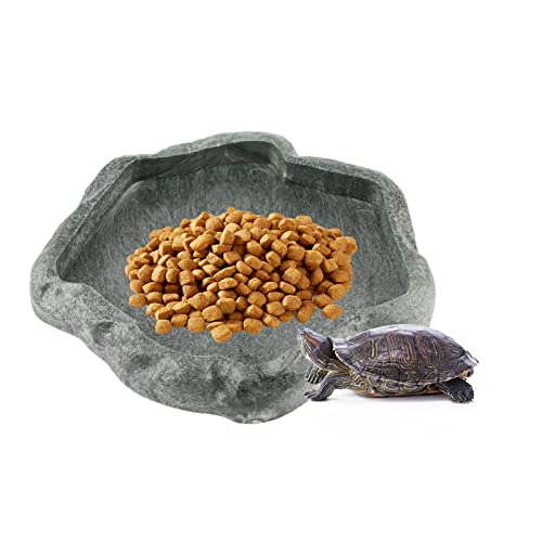 Wasserspender für Reptilien, Futternapf für Schildkröten, für Reptilien, Futter und Wasser, für Eidechse, Gecko, Barbu Drache, Chamäleon, Grün S
