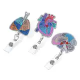 Nogeqi 3 Stück Ausweishalter Krankenschwester Abzeichen, Retractable Anatomie Badge Student Nurse Badge Einziehbarer Für Ärzte Lehrer Krankenpflege Klinikdoktor Krankenschwester Büro