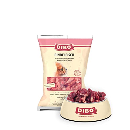 DIBO Rindfleisch für Katzen, 40 x 500g-Beutel, Tiefkühlfutter, gesunde, natürliche Ernährung für Katzen, Katzenfutter, Barf