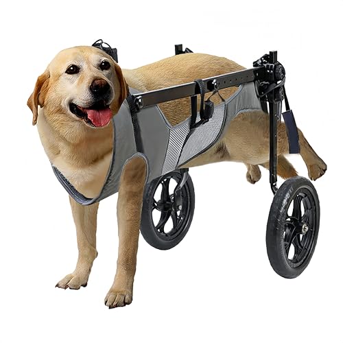 KAJILE Faltbar und Einstellbar Zweirädriger Rollstuhl für Haustiere,Hunderollstuhl für Große und Mittel Hunde,Rehabilitation der Hintergliedmaßen von Haustieren,Grau,XL