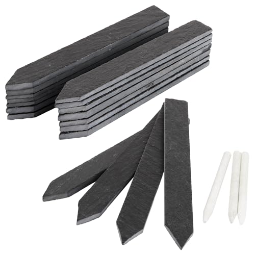 SHUESS 30 Stück Schiefer Täfelchen Pflanzenschilder, Länglich Kräuterschilder Schiefer Pflanzschilder, Schiefer Pflanzenschilder für Garten, Haushalt, Basteln, Geschenke (inklusive Kreide)