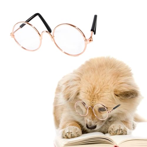 FFWTPY Sonnenbrillen für Hunde Katzen UV-Schutz Motorradbrille Runde Haustierbrille Mode Lustige für Cosplay Partys Kostüm Foto Requisiten (Farblos)