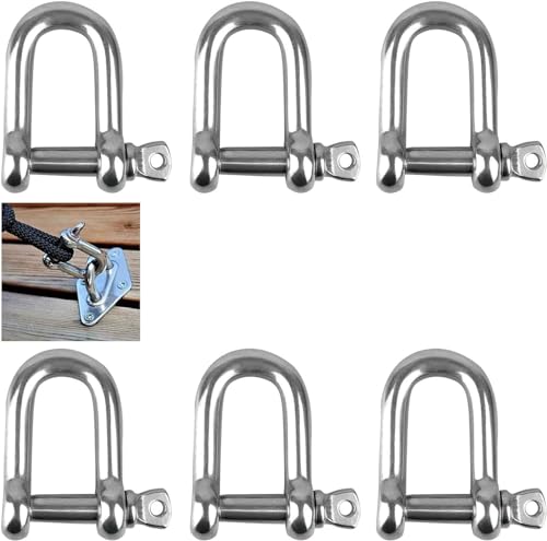 D-Schäkel, M8 D-Schäkel, 304 Edelstahl-D-Ring-Schäkel, Verriegelungsschäkel, gerade D-Ring-Schäkel, Edelstahl-D-Schäkel für Rigging-Seilbefestigungen,6 Stück,Edelstahl-Schäkel