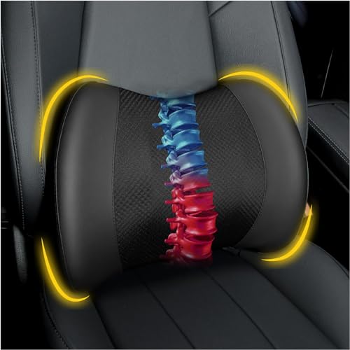 Lofty Aim Lendenwirbelstützkissen: Memory Foam Lendenkissen zur Schmerzlinderung im unteren Rücken - Auto Rückenkissen zum Fahren - Lendenwirbelstütze für Auto-Bürostuhl Rollstuhl - Schwarz