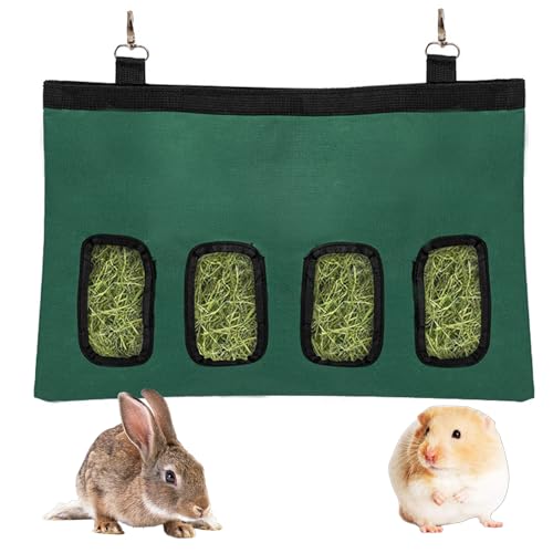 Futterspender für Kaninchen, Heu, zum Aufhängen, mit 4 Löchern, für kleine Haustiere, Grün