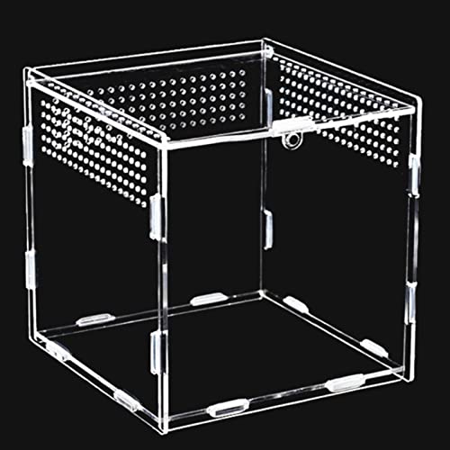 Topspitgo Schnecken Terrarium,Acryl Transparent Transport Box,Terrarium GlasFür Schnecken Spinnen Gecko Hamster Schlangen Schildkröten Terrarium Tragbarer Reptilien Insect Feeding Terrarium