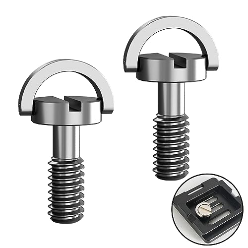 2 Stück 1/4 Zoll Schraube,Schnellverschluss Schraube,Kamera Befestigungsschraube Silber,Edelstahl Stativ Schrauben Adapter 1/4 zoll für Kameraschraube Stative Köpfe Schnellwechselplatte