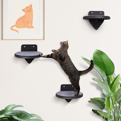 Kletterwand Katzen [Birkenholz]| Katzentreppen 3er-Set | Katzentreppe Wand | Katzen Kletterwand Set | Katzenleiter | Katzenwand Klettern | Catwalk Katze | Katzen Wand Klettern | XL (3-teilig)