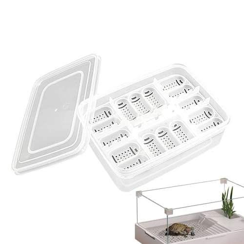 Generic Brutkasten für Reptilien-Eier, Reptilien-Zuchtbox,16 Gitter transparenter Eierbrutkasten | Inkubationsbox für die Entwicklung von Reptilieneiern, Brutkasten, Bruttablett