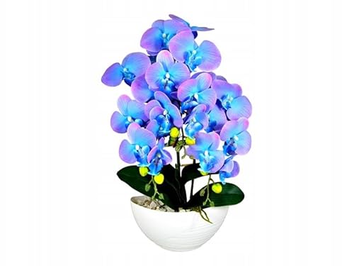 Künstliche Blumen | Künstliche Orchidee im Topf – ca. 60 cm – Realistische Kunstblume – Elegante Deko für Wohnzimmer, Büro & Bad, Latexgummi, schöne, lebendige Farbe - Blau mit Rosa