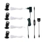 LED Spotlichter für den Innenbereich Schranklicht Bilderlichter Akzentlichter 1W 360° Schwenkbar Aluminium Mini led spot für Schrank, Flur, Galerien, Geschäfte, Schmuckschrank(Warmweiß-4 Stück)
