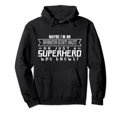 Lustige Arbeits- und Berufsinformationen: Sicherheitsanalyse Pullover Hoodie