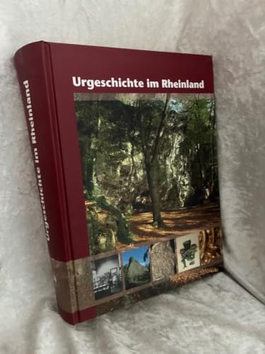 Urgeschichte im Rheinland: Jahrbuch 2005 des Rheinischen Vereins für Denkmalpflege und Landschaftsschutz