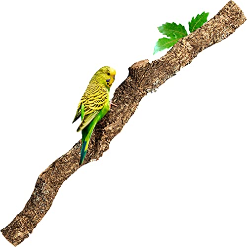 XXL Kork-AST | 100 cm lang | AST von der Korkeiche/Korkbaum | Naturkork-Rinde als Terrariumausstattung | Made in Portugal
